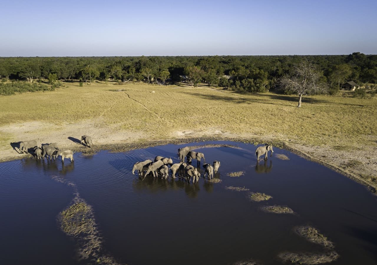 Little makalolo camp waterhole beside the camp 1280