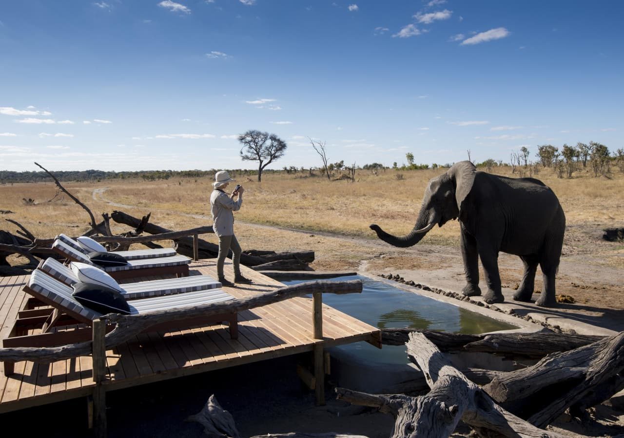 Somalisa expeditions elephant by the deck 1280