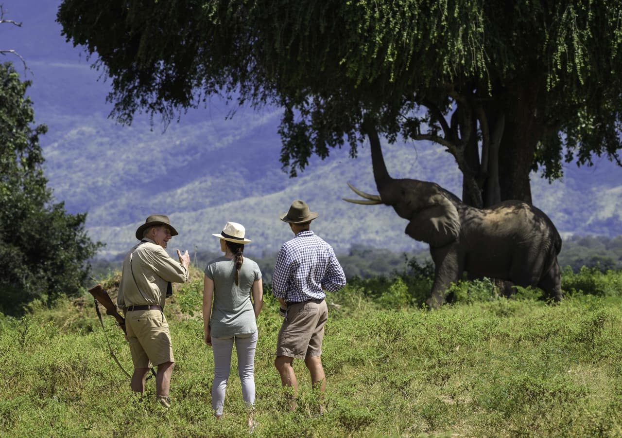 Johns camp walking safari 1280