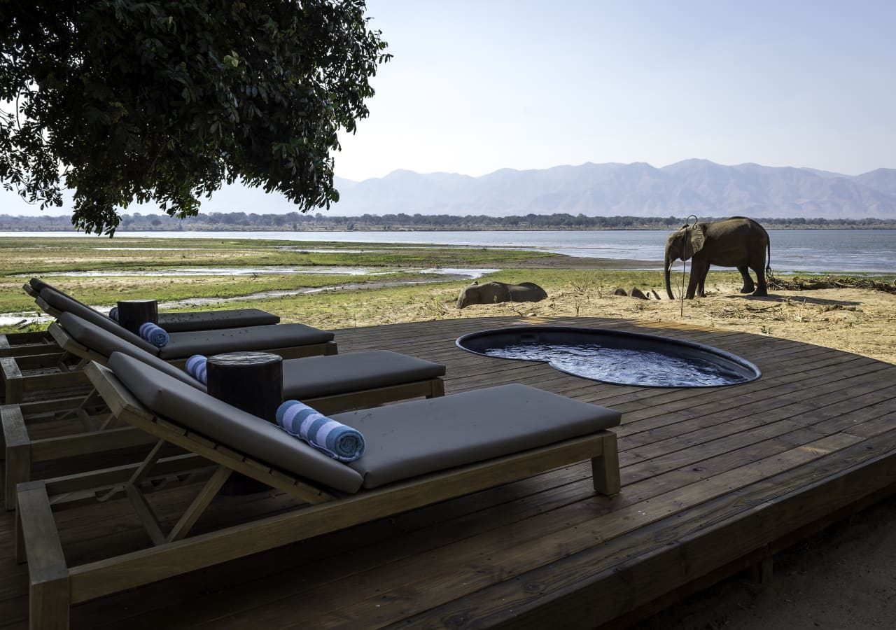 Little ruckomechi camp pool and deck with elephant passing by 1280