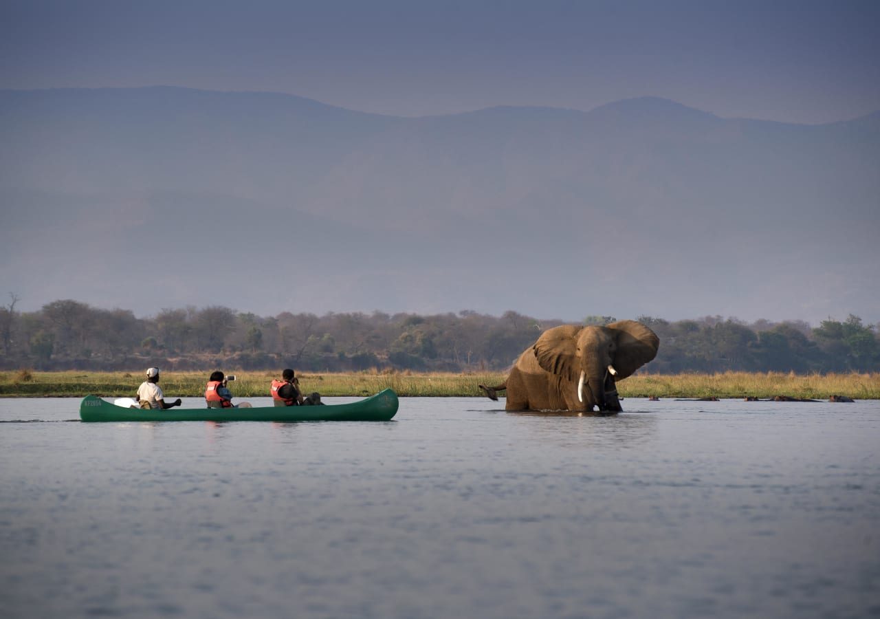 Nyamatusi mahogany mana pools canoe safari with elephant sighting 1280