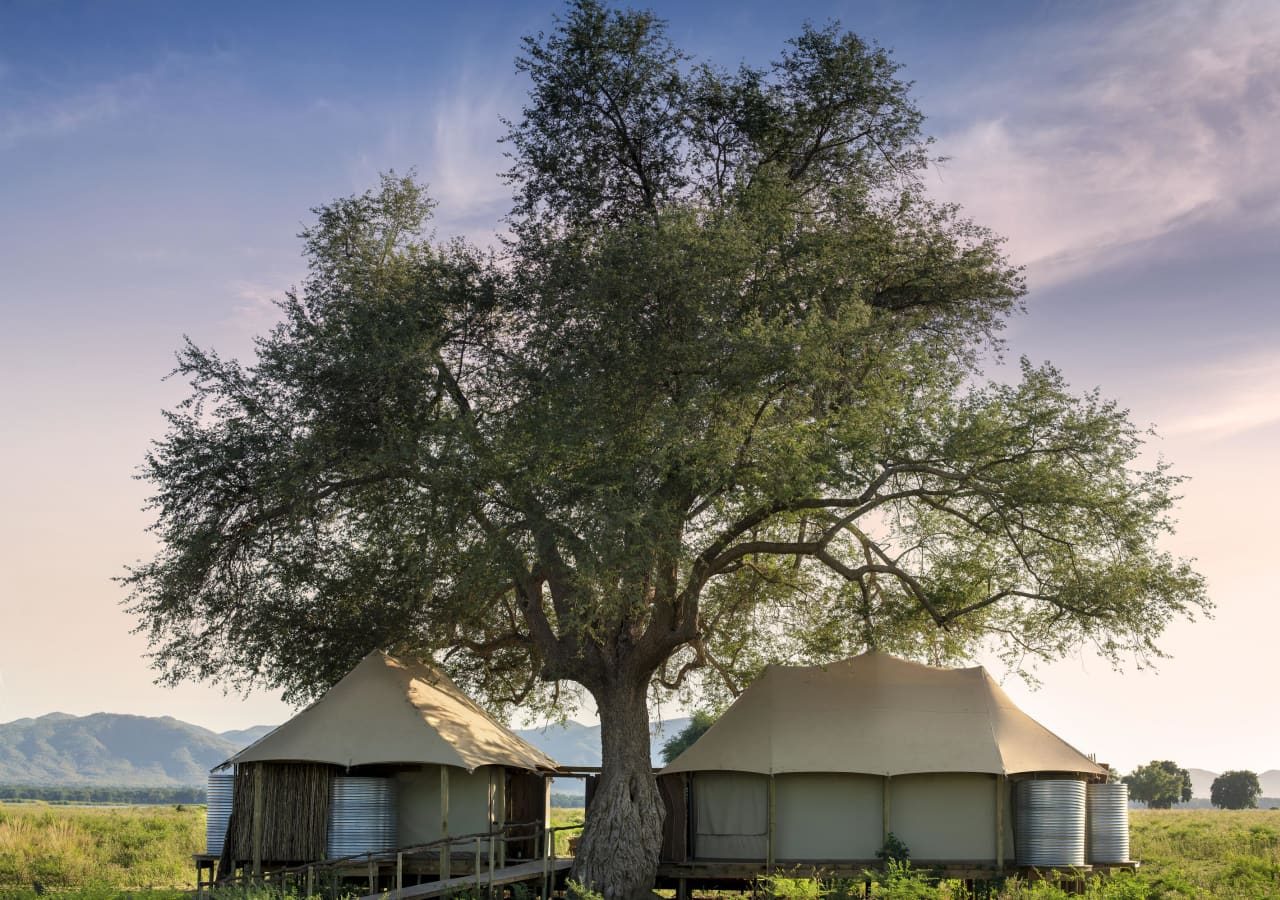 Nyamatusi mahogany tent exterior and setting 1280