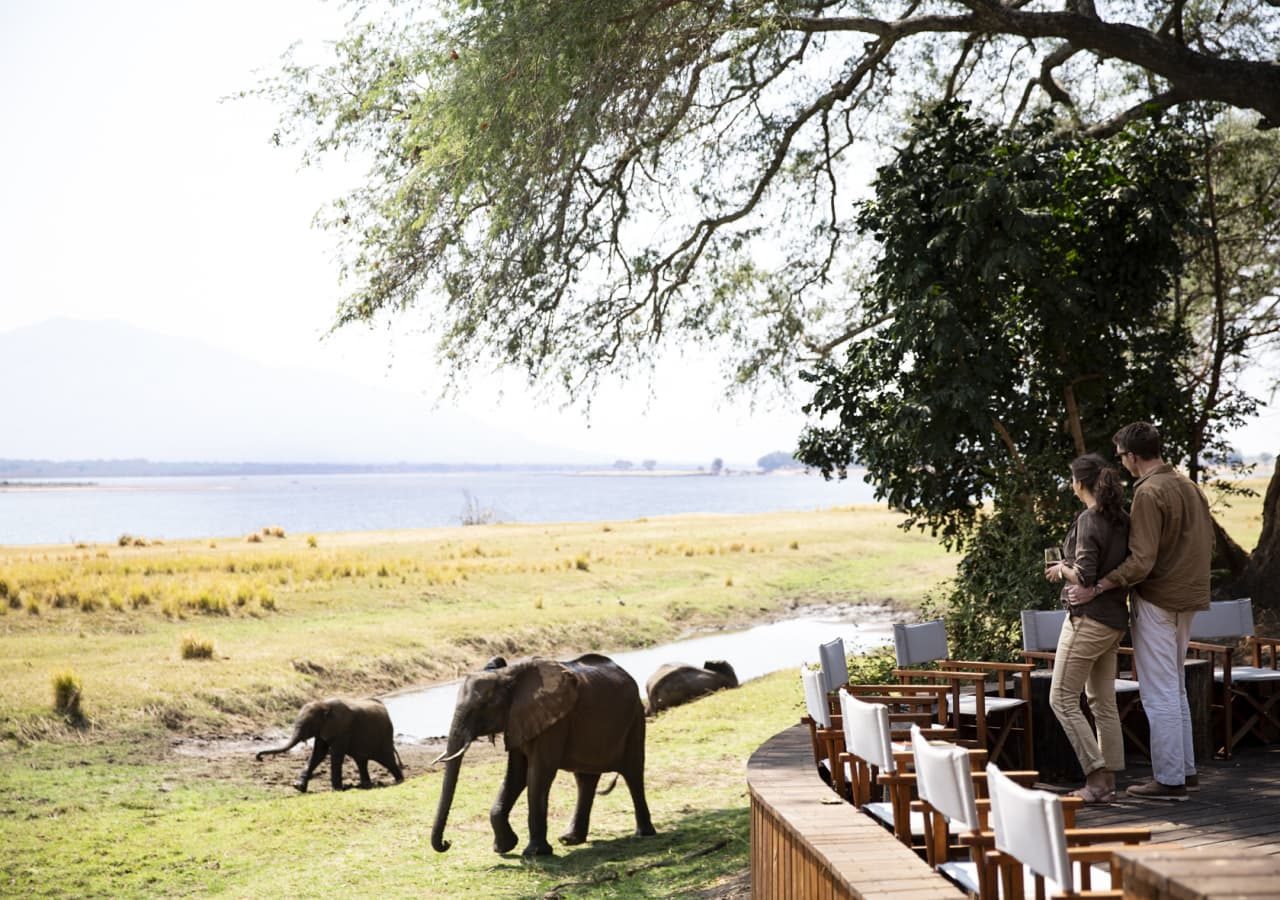 Ruckomechi camp elephant sighting from the viewing deck 1280