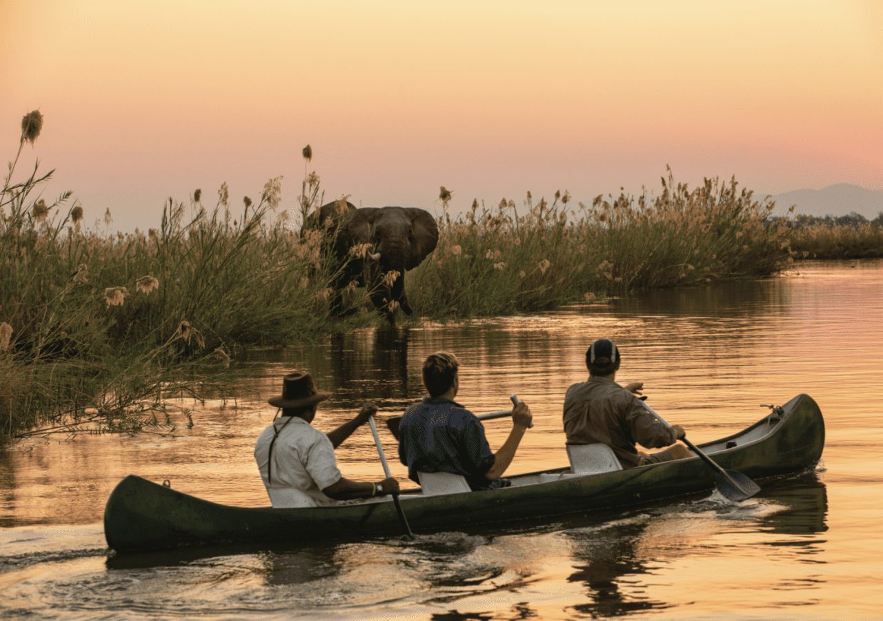 Tembo plains camp canoe safari on mana pools with elephant sighting 1280