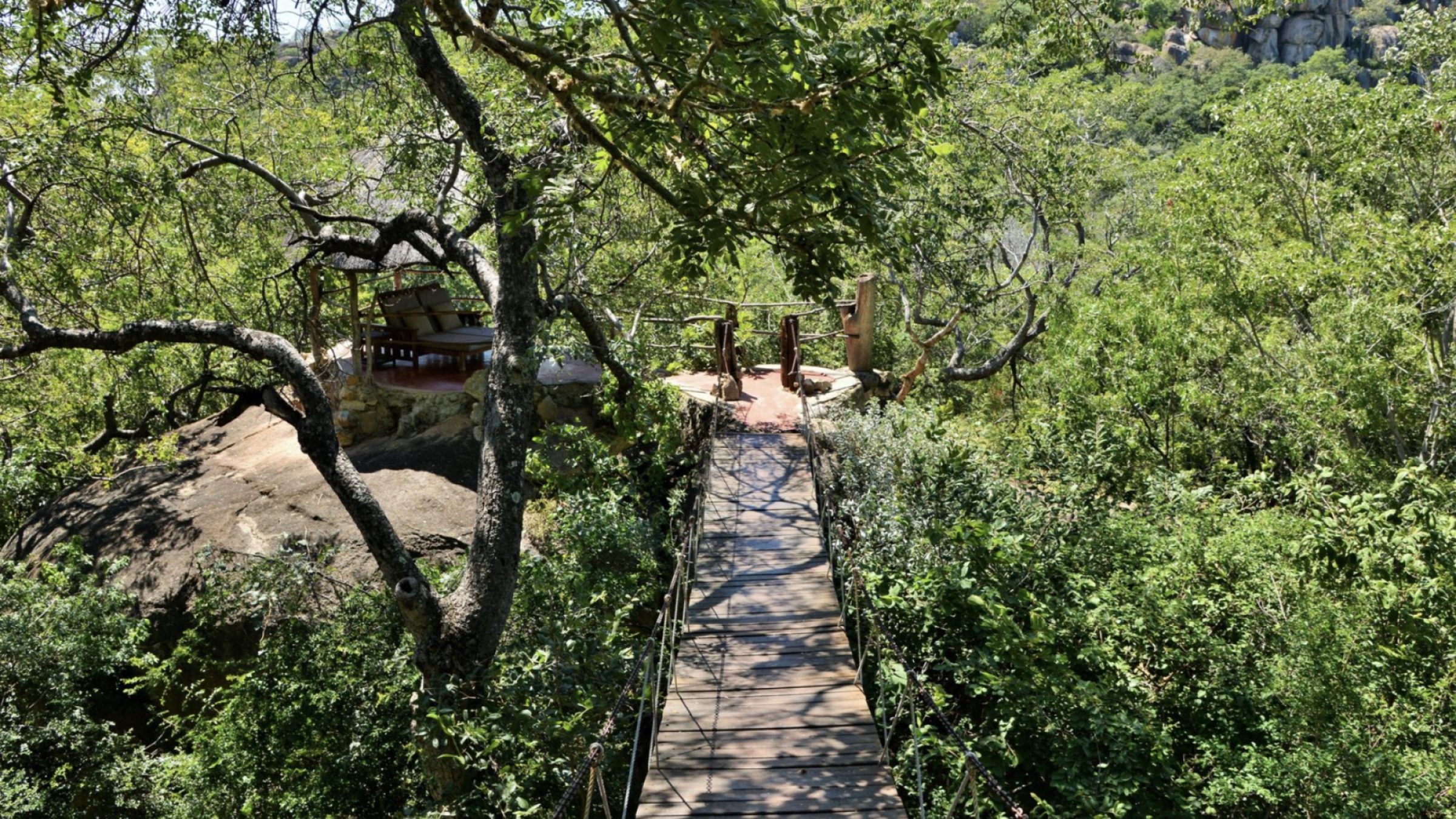 Amalinda lodge set amongst the treetops 2400