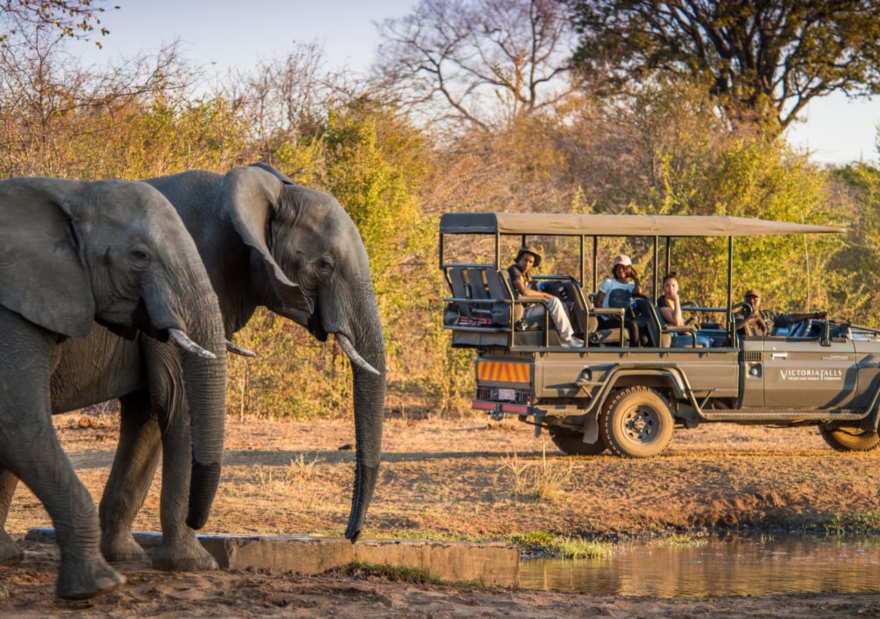 Stanley and livingstone boutique hotel game drive with elephant sighting 1280