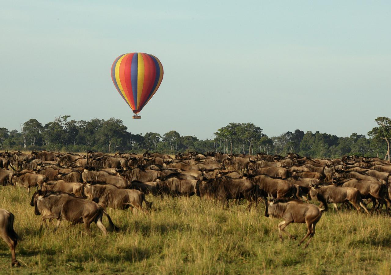 hot air balloon over the great migration