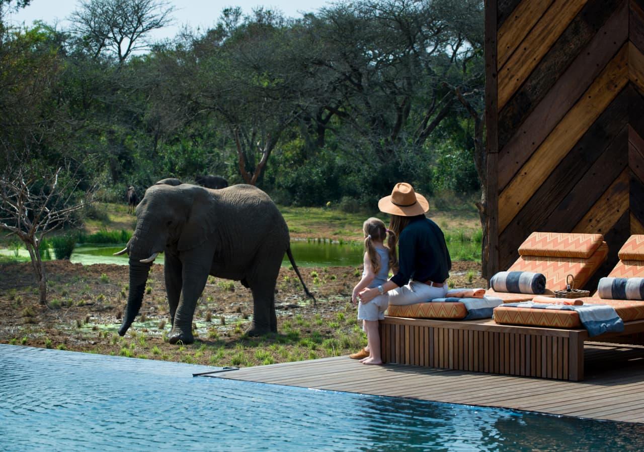 Woman and child on a pool lounger watching an elephant walk by at a safari lodge